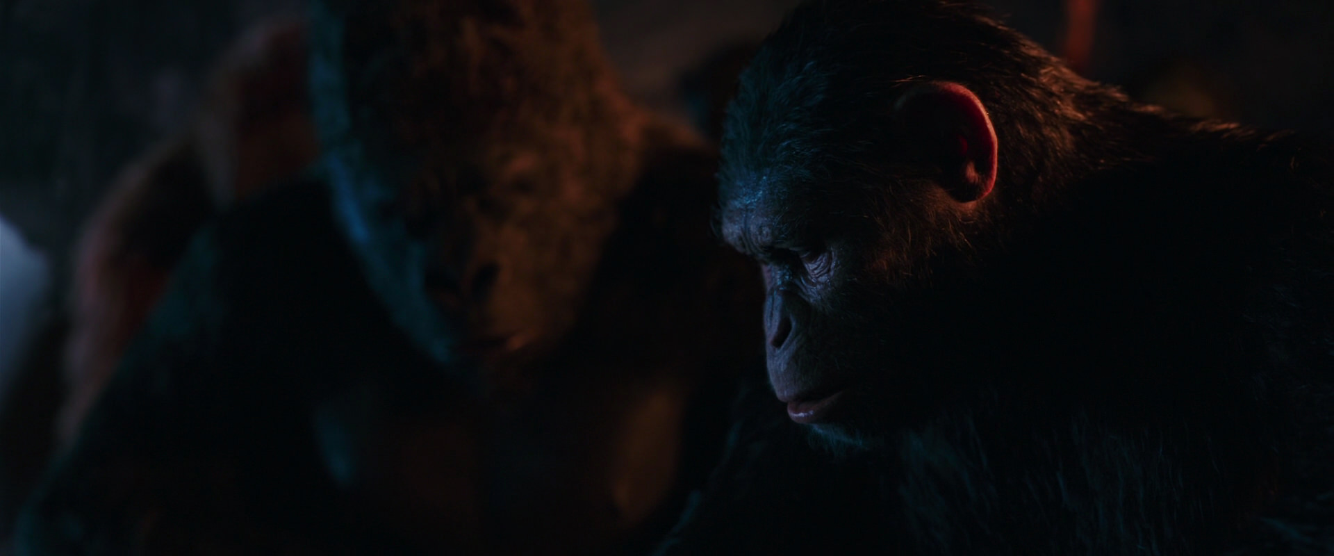 War for the Planet of the Apes (2017) movie still 2614
