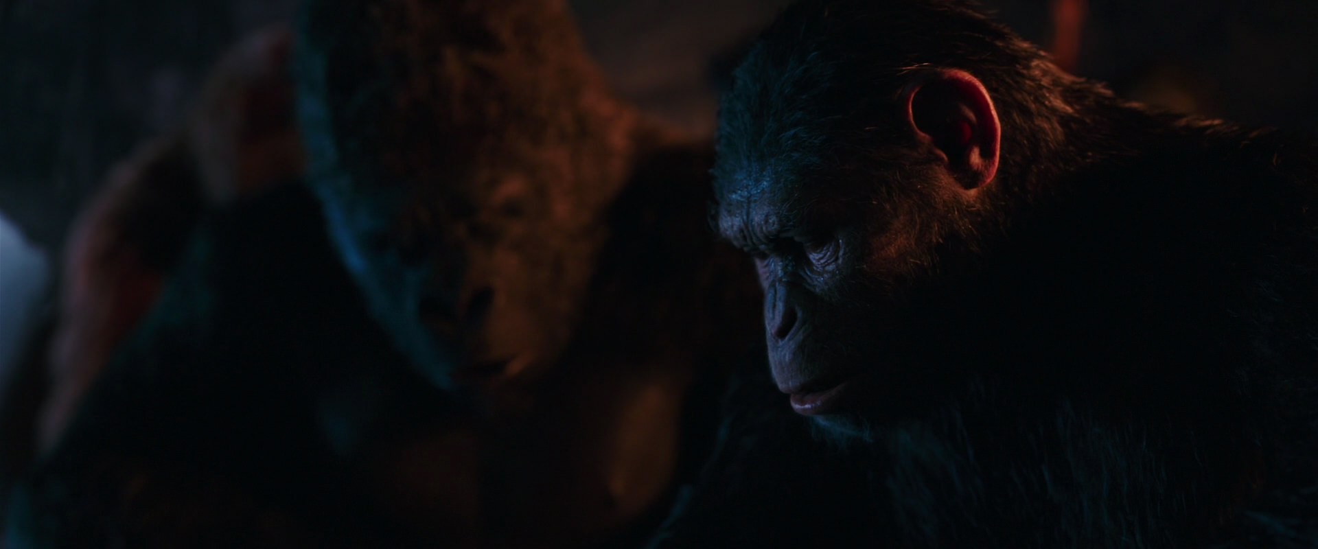 War for the Planet of the Apes (2017) HD screenshot 2615