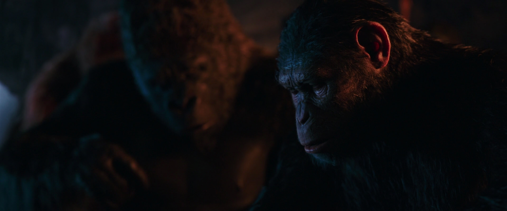 War for the Planet of the Apes (2017) screencap 2616