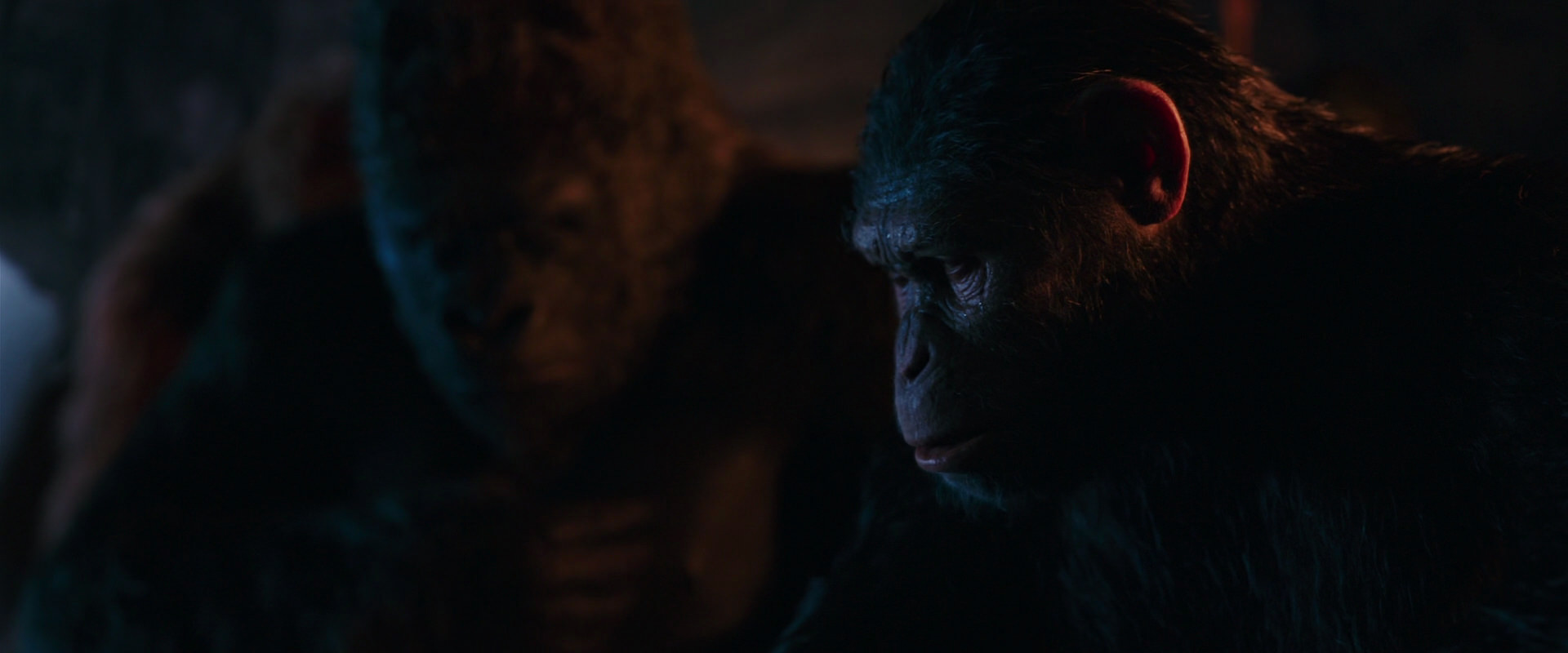 War for the Planet of the Apes (2017) movie still 2617