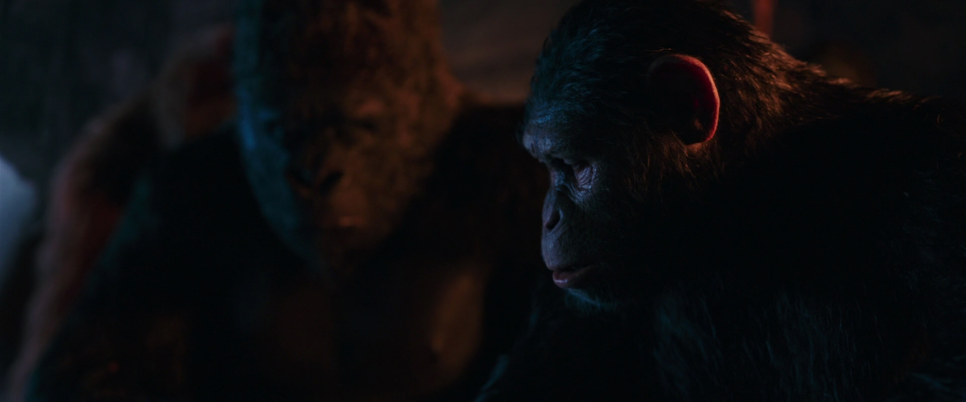 War for the Planet of the Apes (2017) HD screenshot 2618