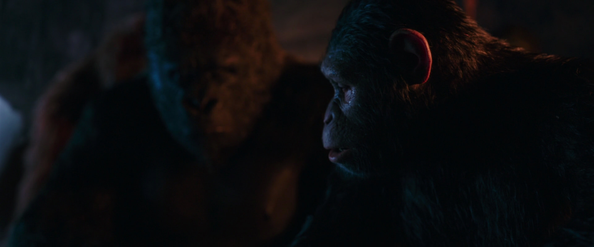 War for the Planet of the Apes (2017) screencap 2619