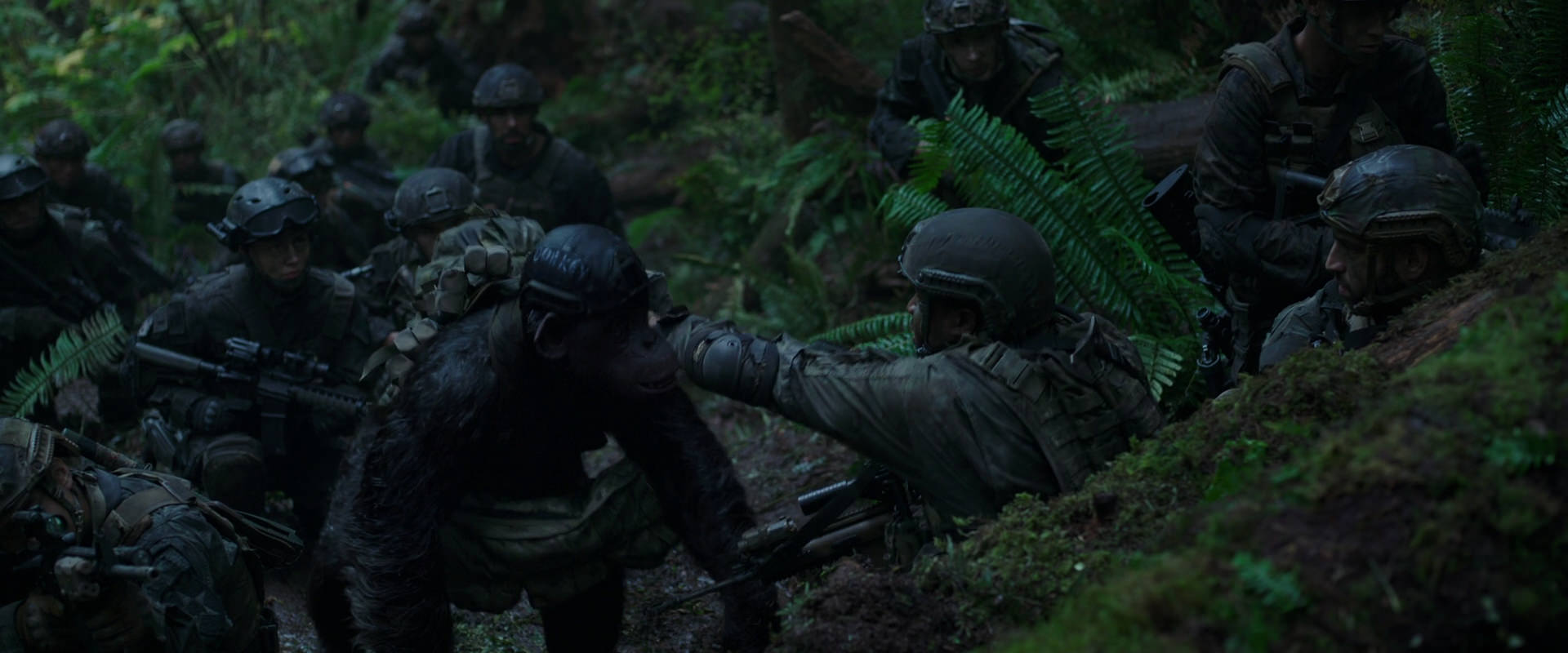 War for the Planet of the Apes (2017) movie still 262
