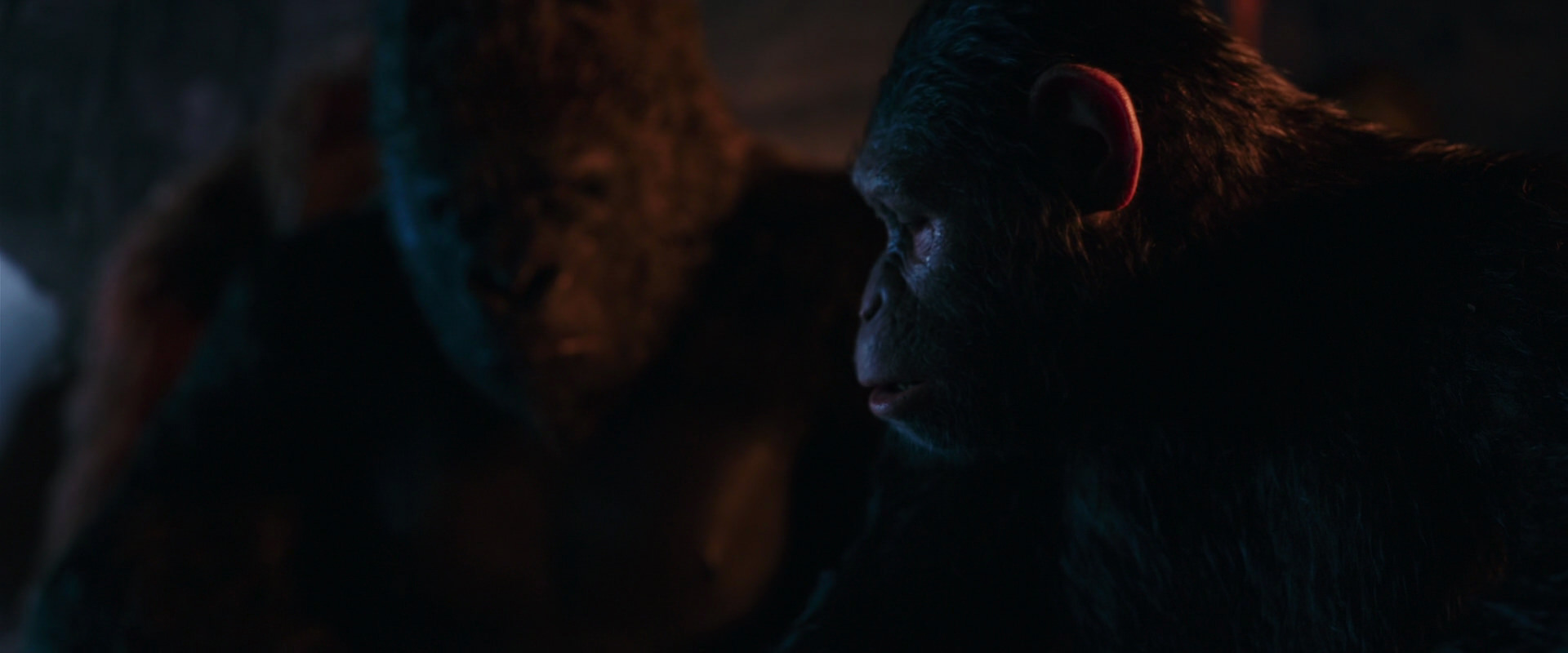War for the Planet of the Apes (2017) movie still 2620