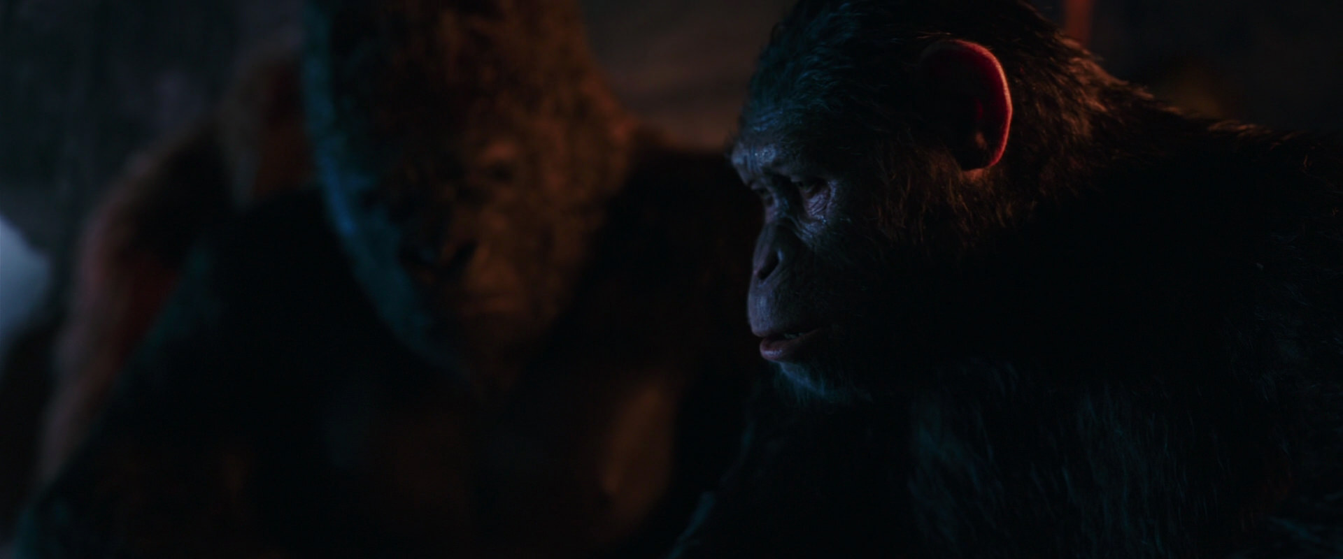 War for the Planet of the Apes (2017) HD screenshot 2621