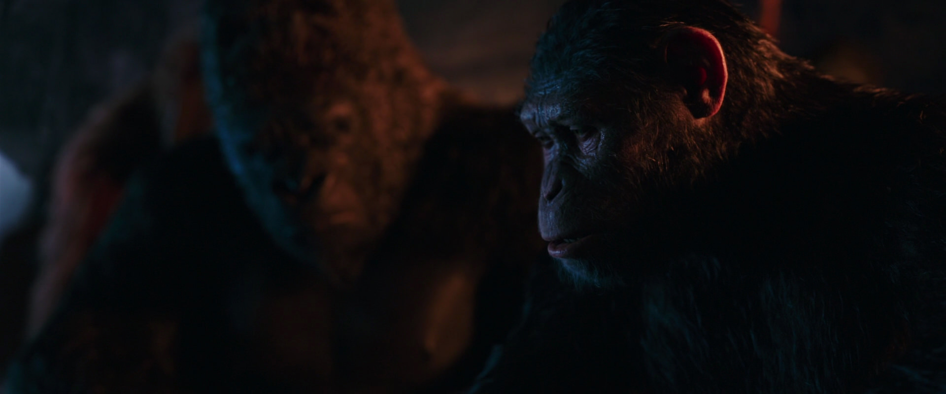 War for the Planet of the Apes (2017) screencap 2622