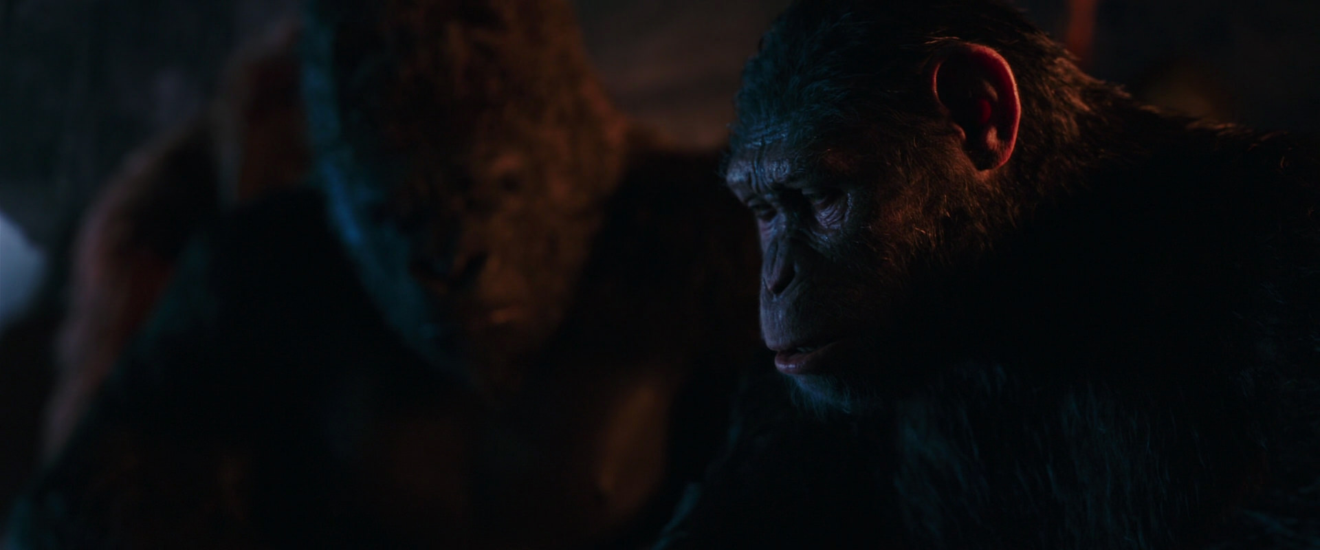 War for the Planet of the Apes (2017) movie still 2623