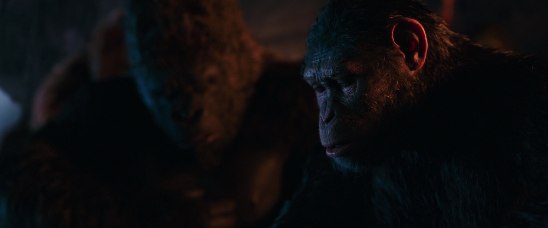 War for the Planet of the Apes (2017) HD screenshot 2624