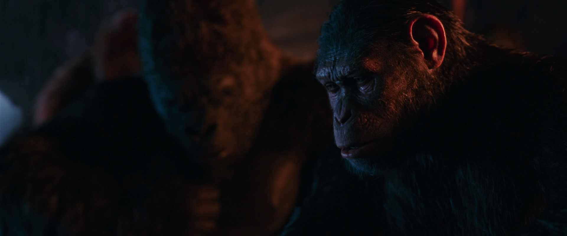 War for the Planet of the Apes (2017) screencap 2625
