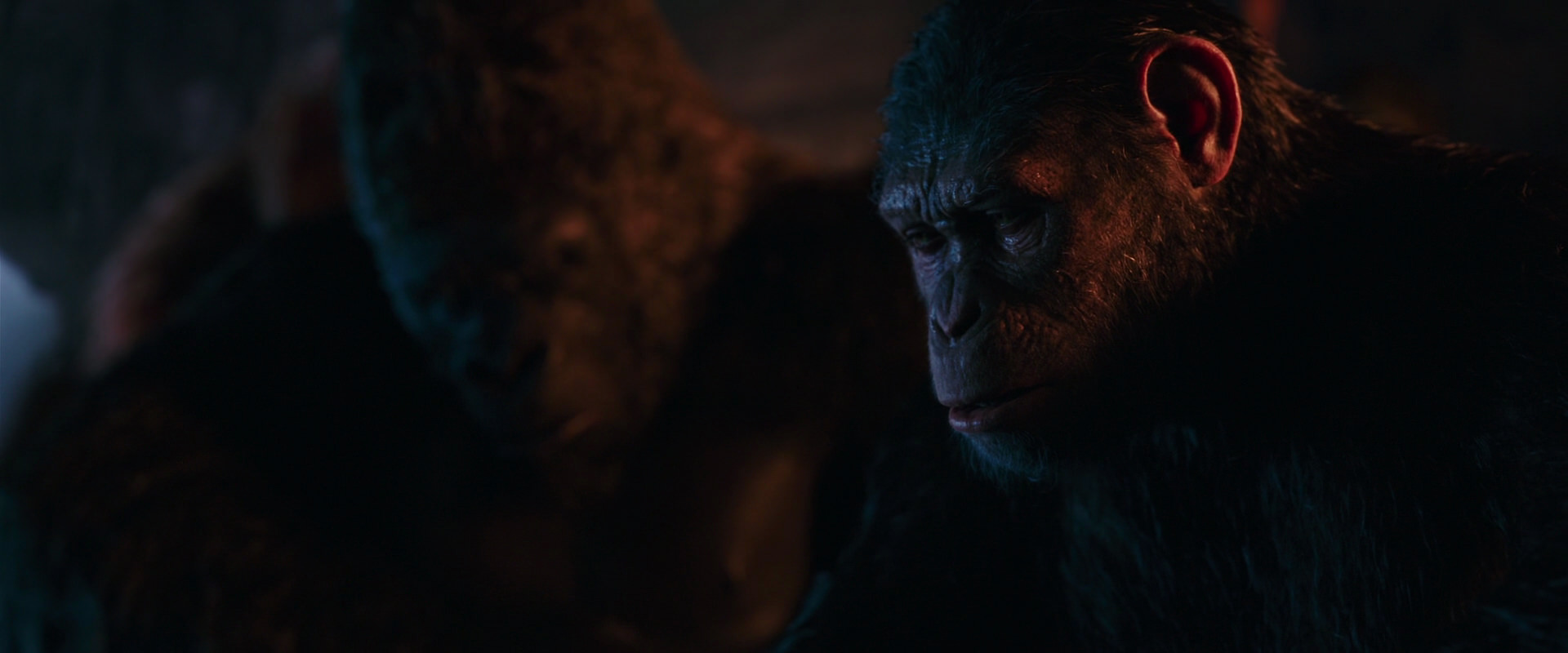 War for the Planet of the Apes (2017) movie still 2626
