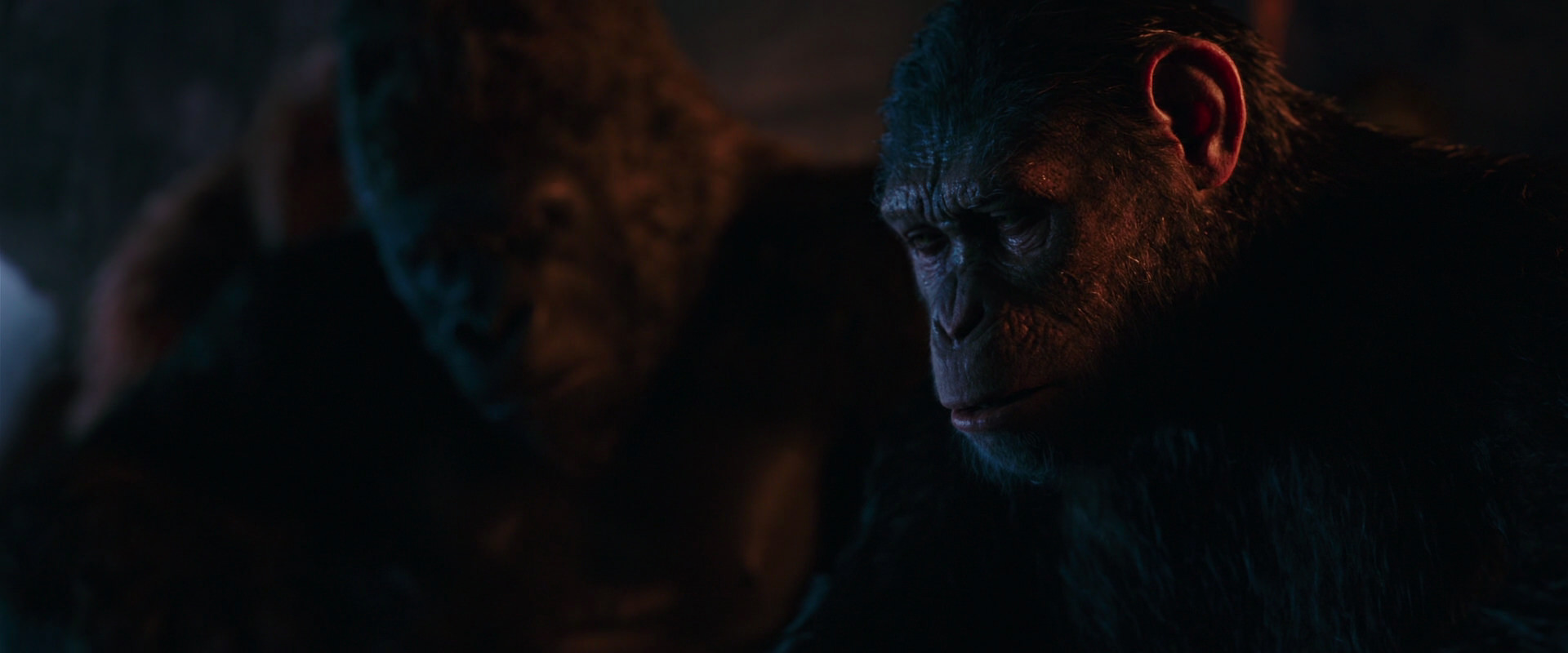 War for the Planet of the Apes (2017) HD screenshot 2627