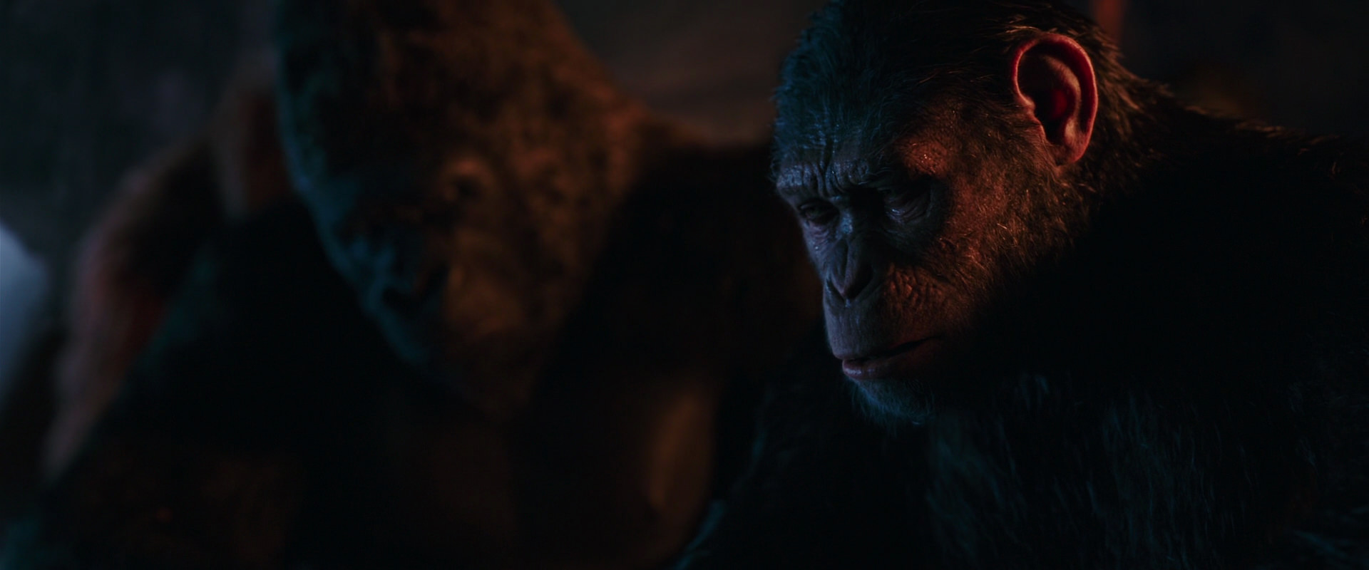 War for the Planet of the Apes (2017) screencap 2628