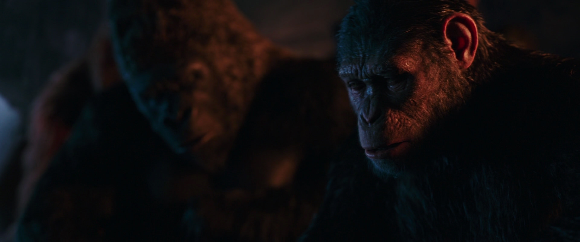 War for the Planet of the Apes (2017) movie still 2629