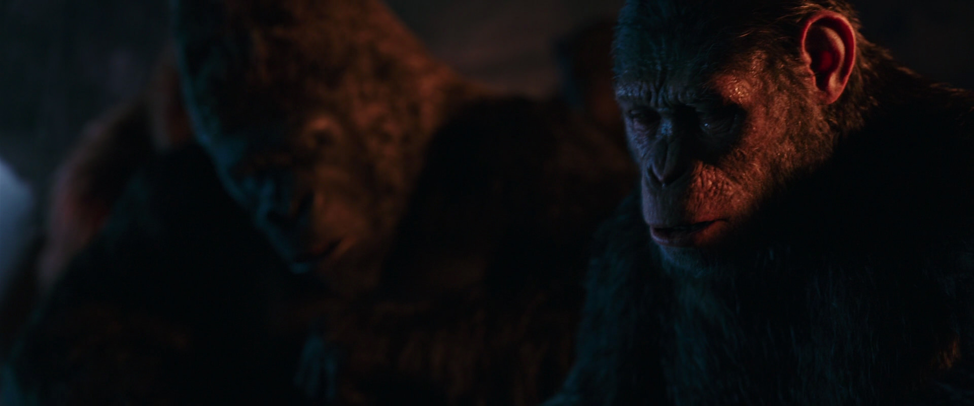 War for the Planet of the Apes (2017) HD screenshot 2630
