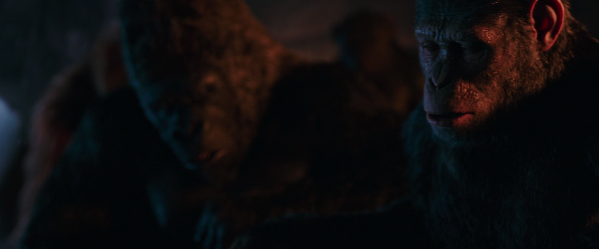 War for the Planet of the Apes (2017) screencap 2631