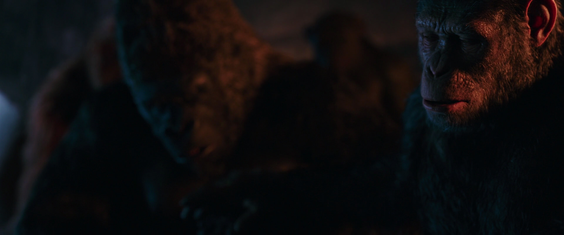 War for the Planet of the Apes (2017) movie still 2632