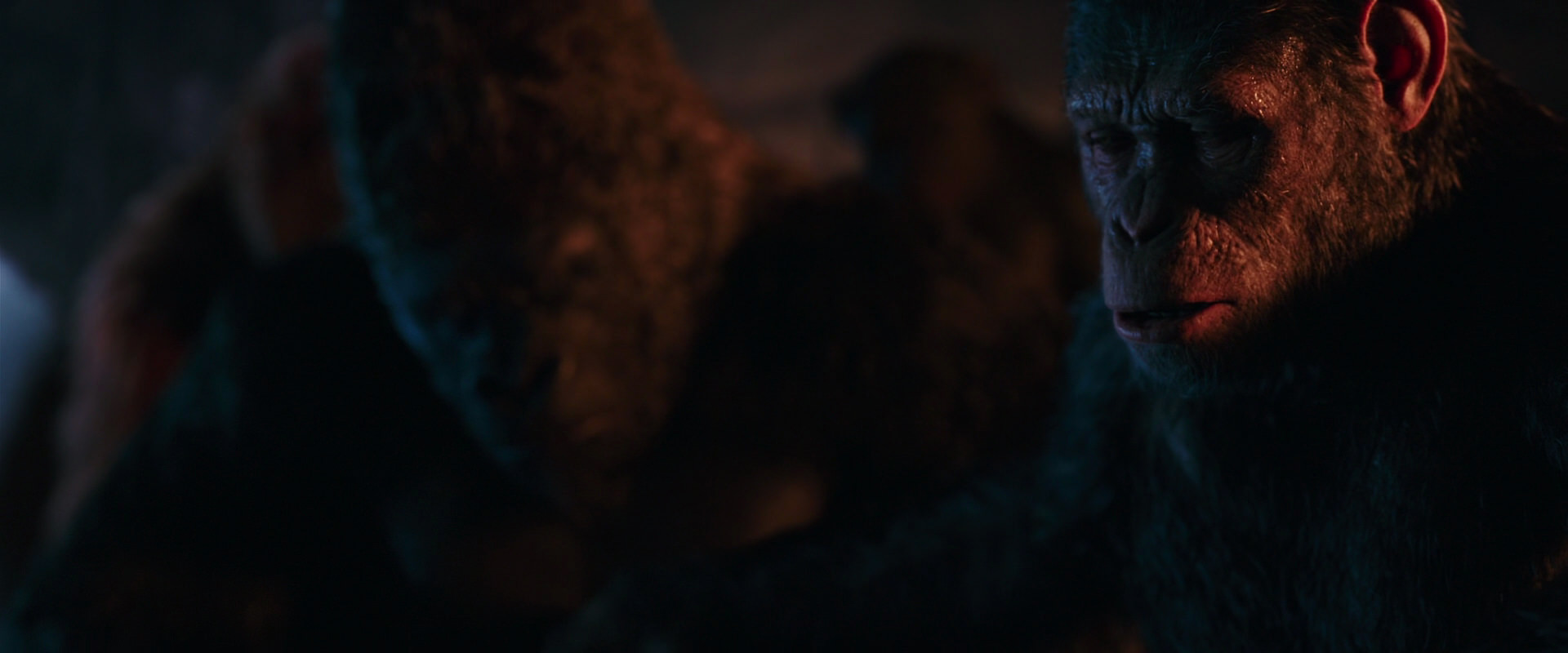 War for the Planet of the Apes (2017) screencap 2634