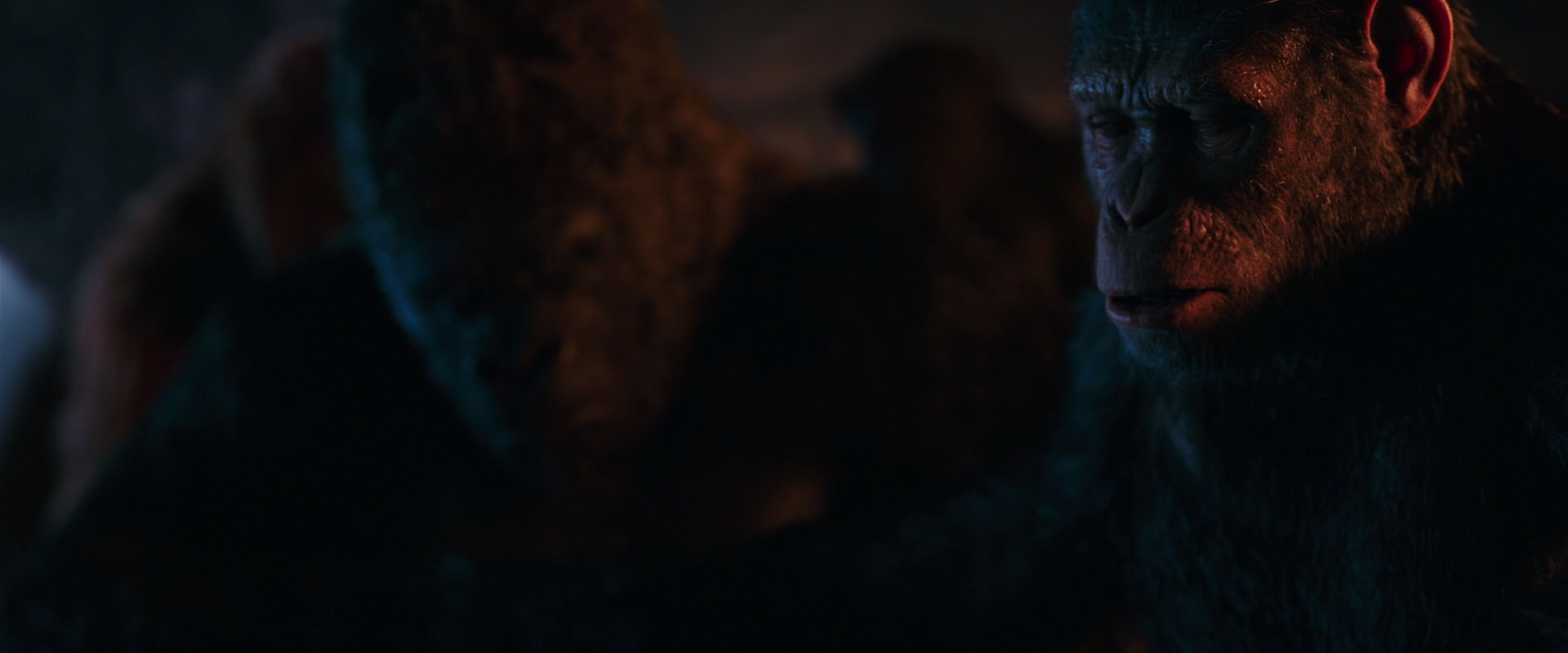 War for the Planet of the Apes (2017) movie still 2635