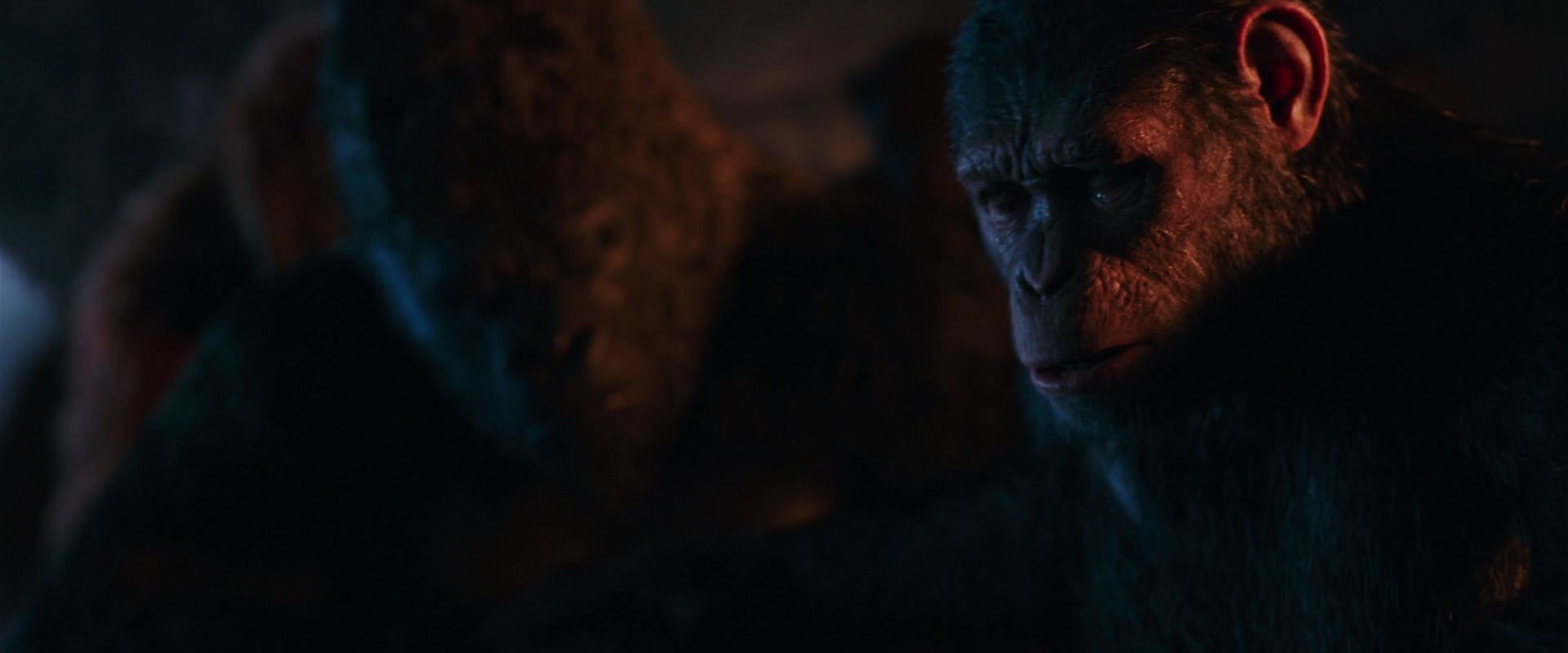 War for the Planet of the Apes (2017) screencap 2637