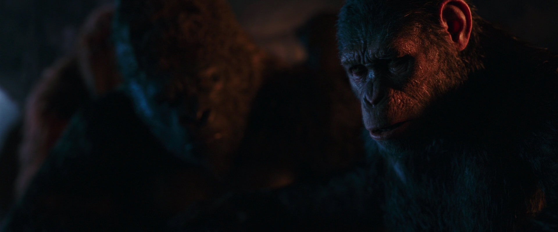 War for the Planet of the Apes (2017) movie still 2638