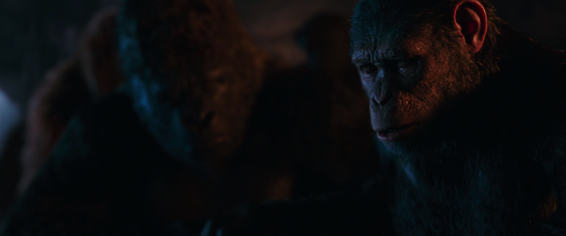 War for the Planet of the Apes (2017) HD screenshot 2639