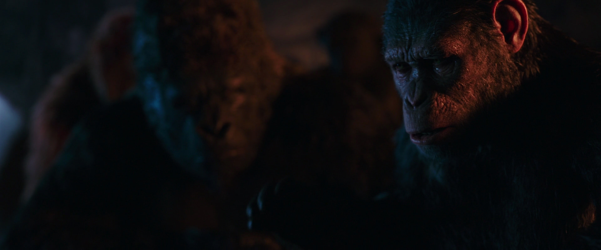 War for the Planet of the Apes (2017) screencap 2640