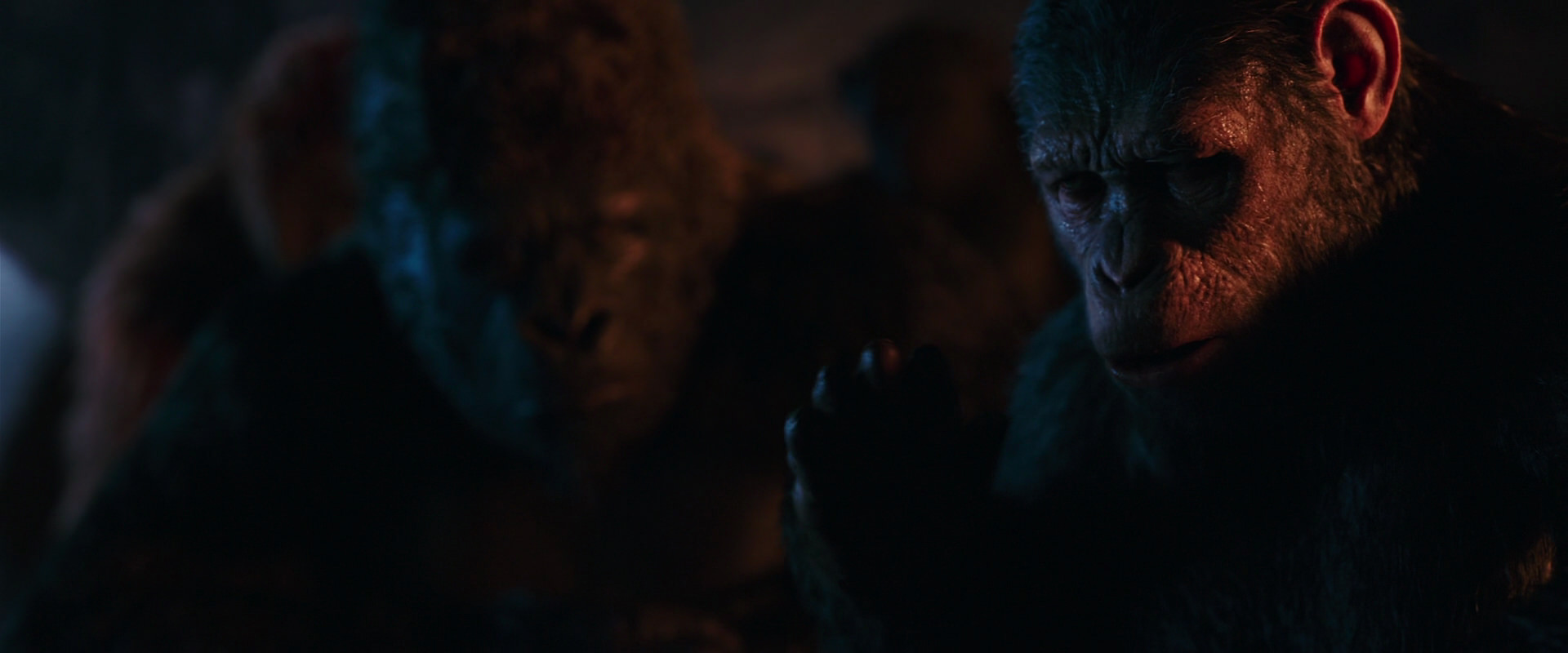 War for the Planet of the Apes (2017) movie still 2641