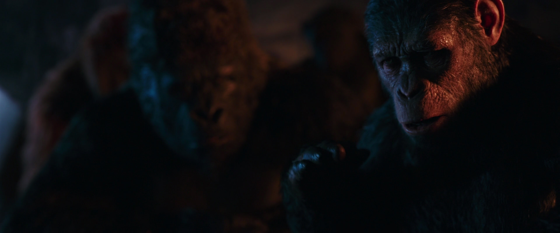 War for the Planet of the Apes (2017) HD screenshot 2642