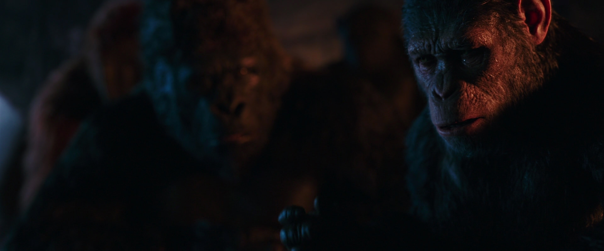 War for the Planet of the Apes (2017) HD screenshot 2645