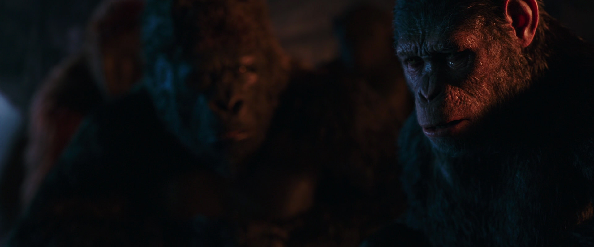 War for the Planet of the Apes (2017) screencap 2646