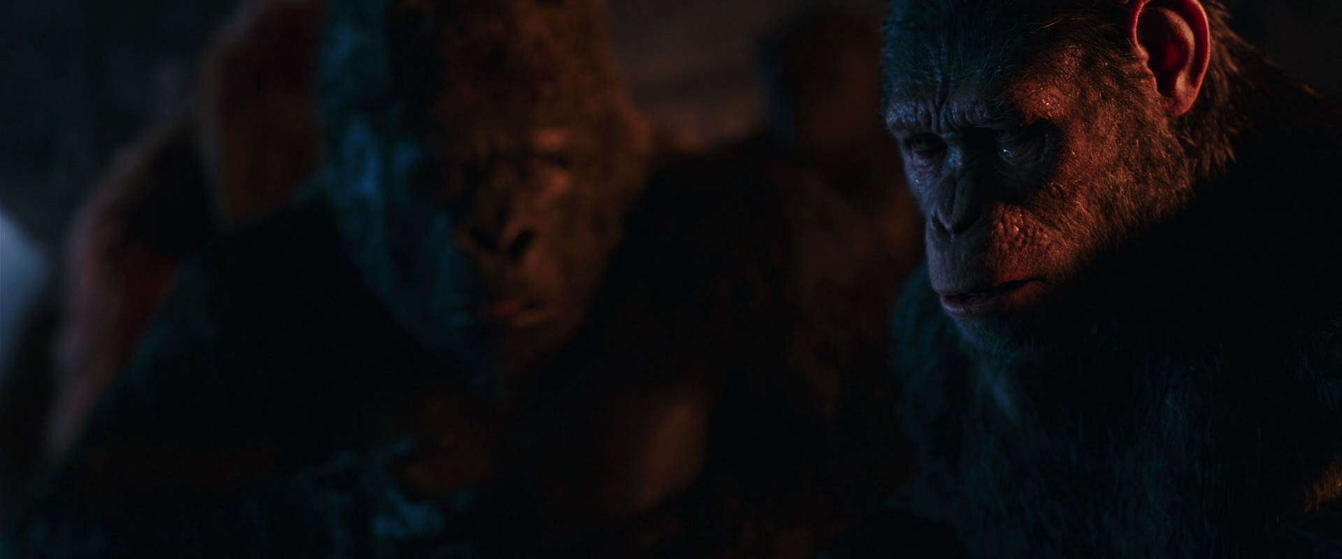 War for the Planet of the Apes (2017) movie still 2647