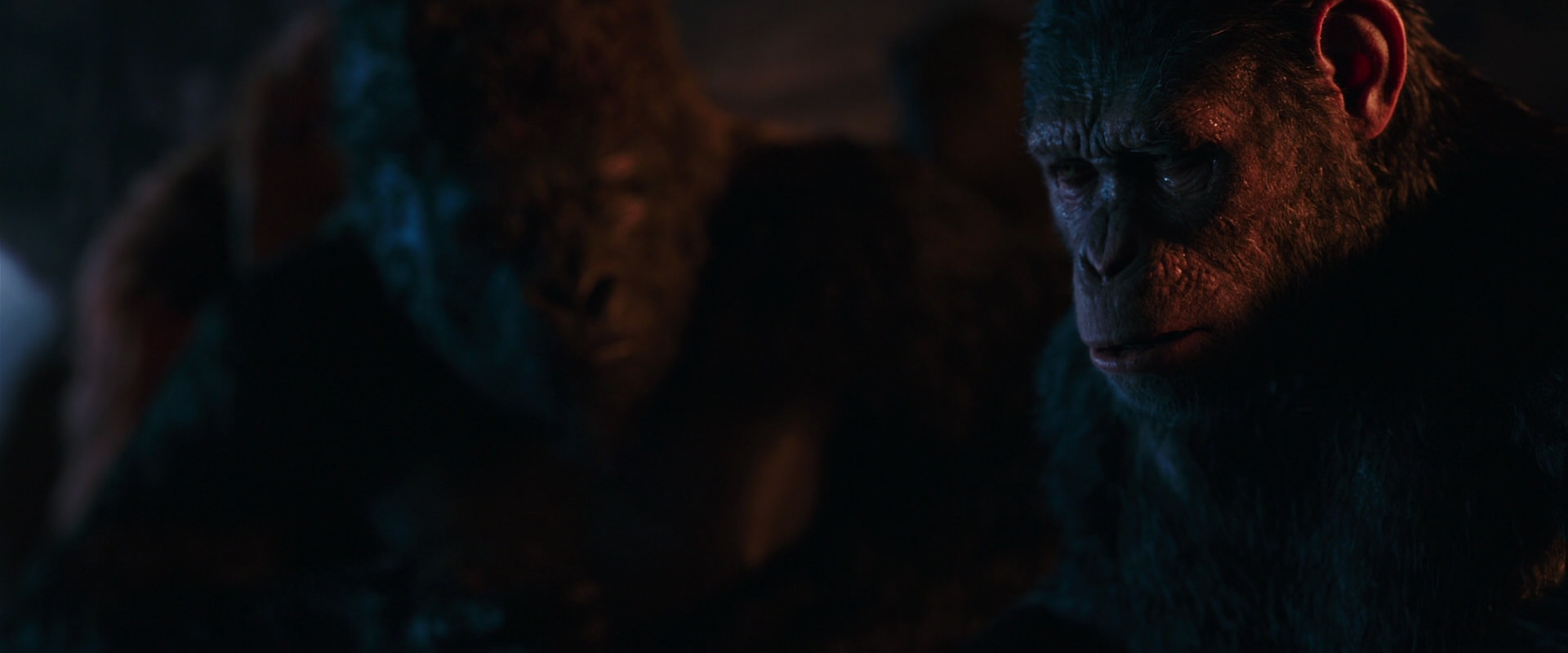 War for the Planet of the Apes (2017) HD screenshot 2648