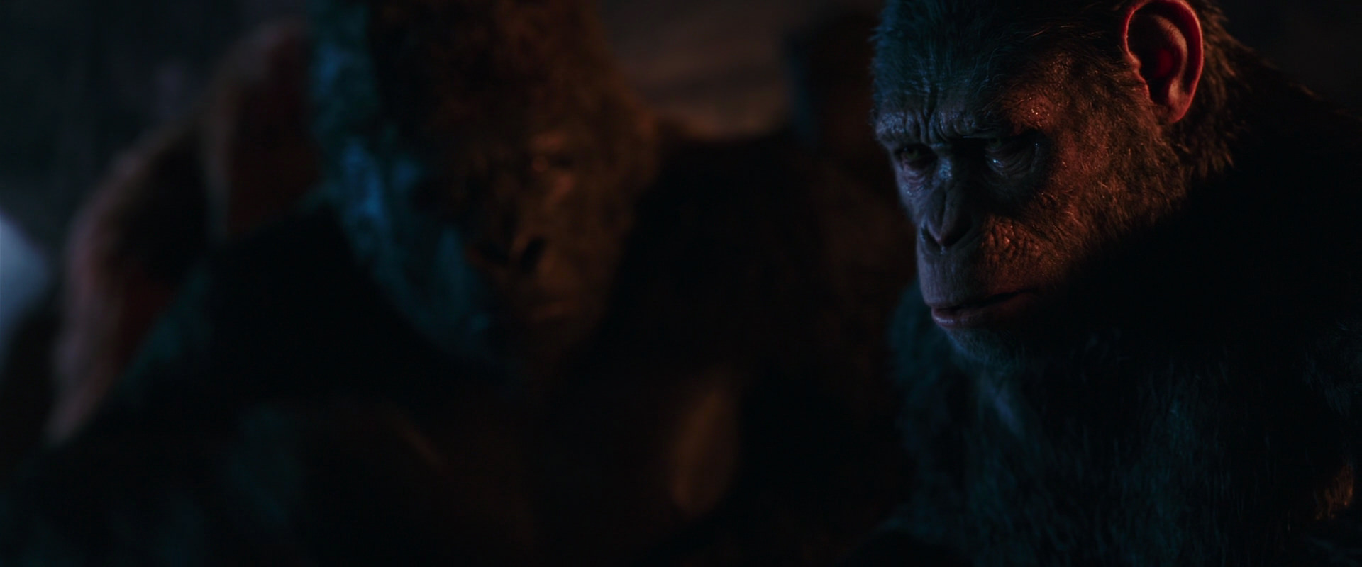War for the Planet of the Apes (2017) screencap 2649