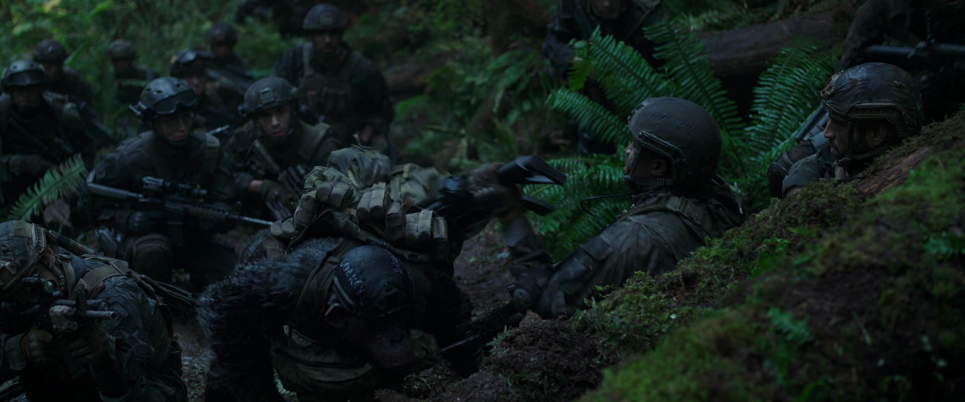 War for the Planet of the Apes (2017) movie still 265