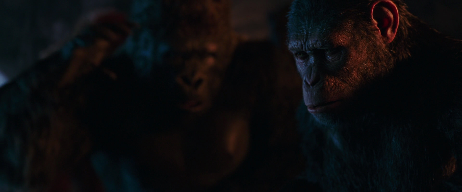 War for the Planet of the Apes (2017) movie still 2650