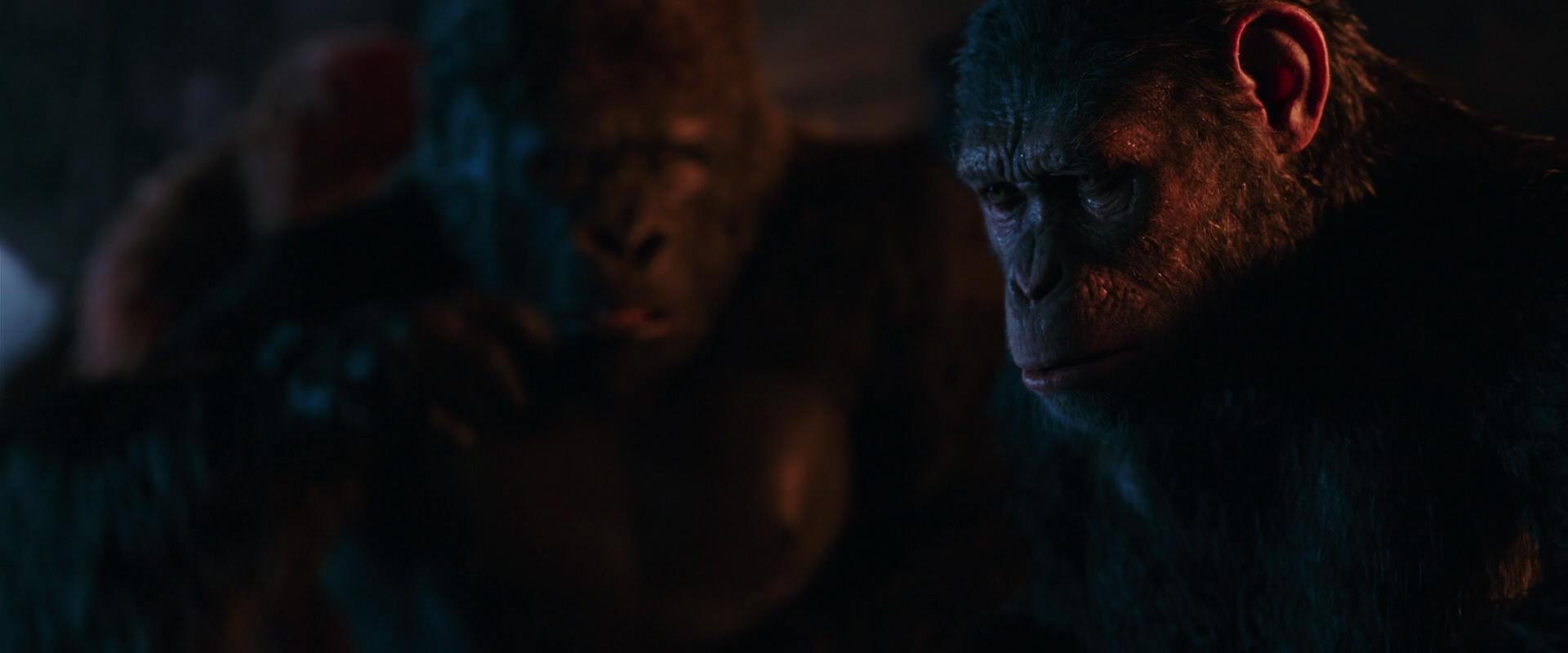 War for the Planet of the Apes (2017) HD screenshot 2651