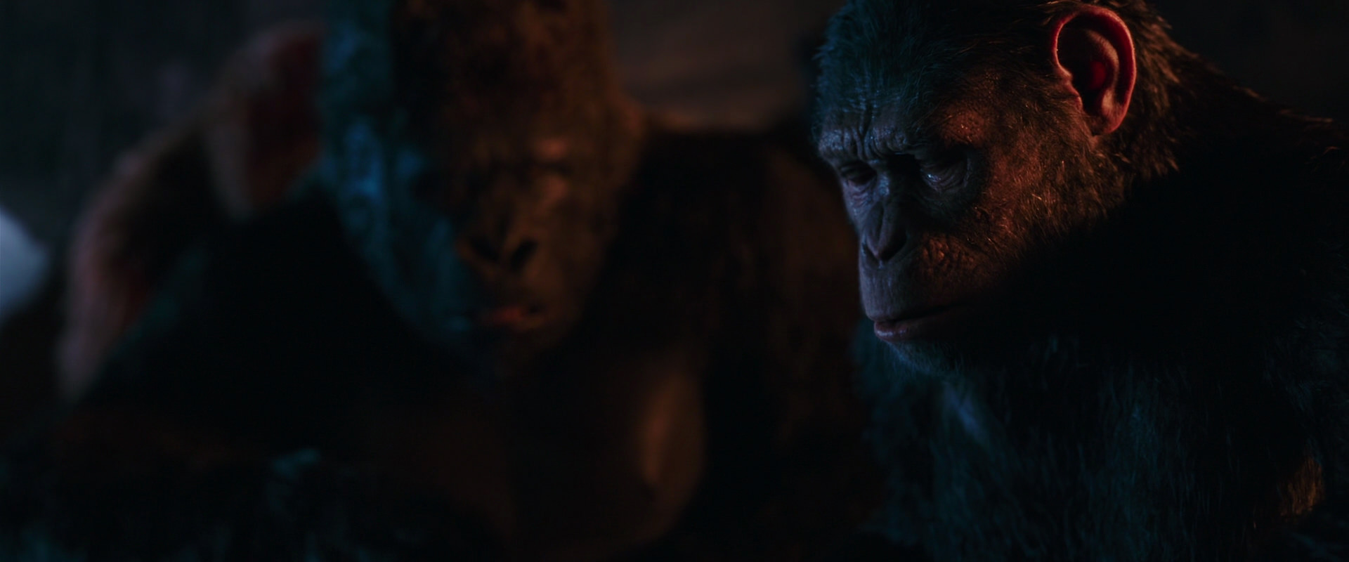 War for the Planet of the Apes (2017) screencap 2652