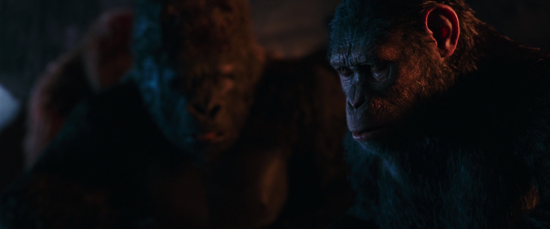 War for the Planet of the Apes (2017) movie still 2653
