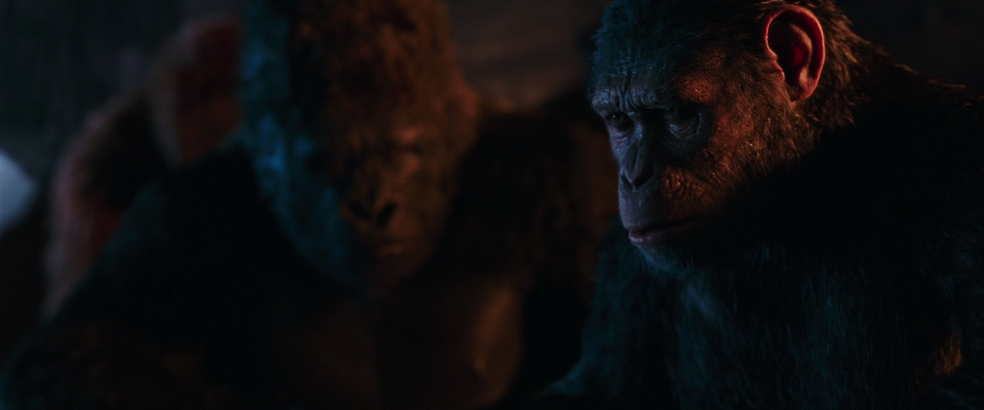 War for the Planet of the Apes (2017) HD screenshot 2654