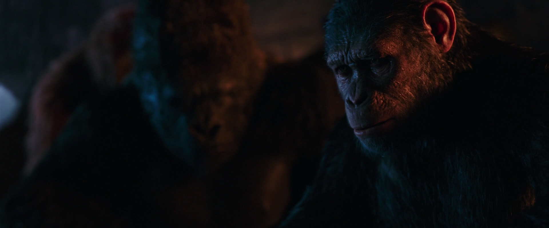 War for the Planet of the Apes (2017) screencap 2655