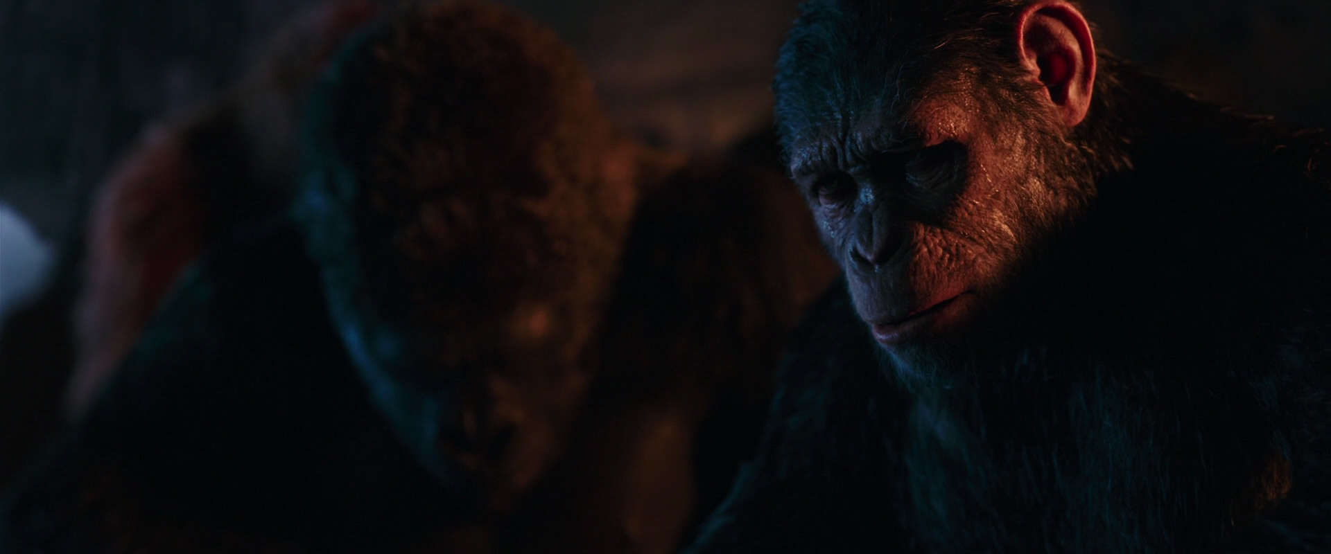 War for the Planet of the Apes (2017) movie still 2656