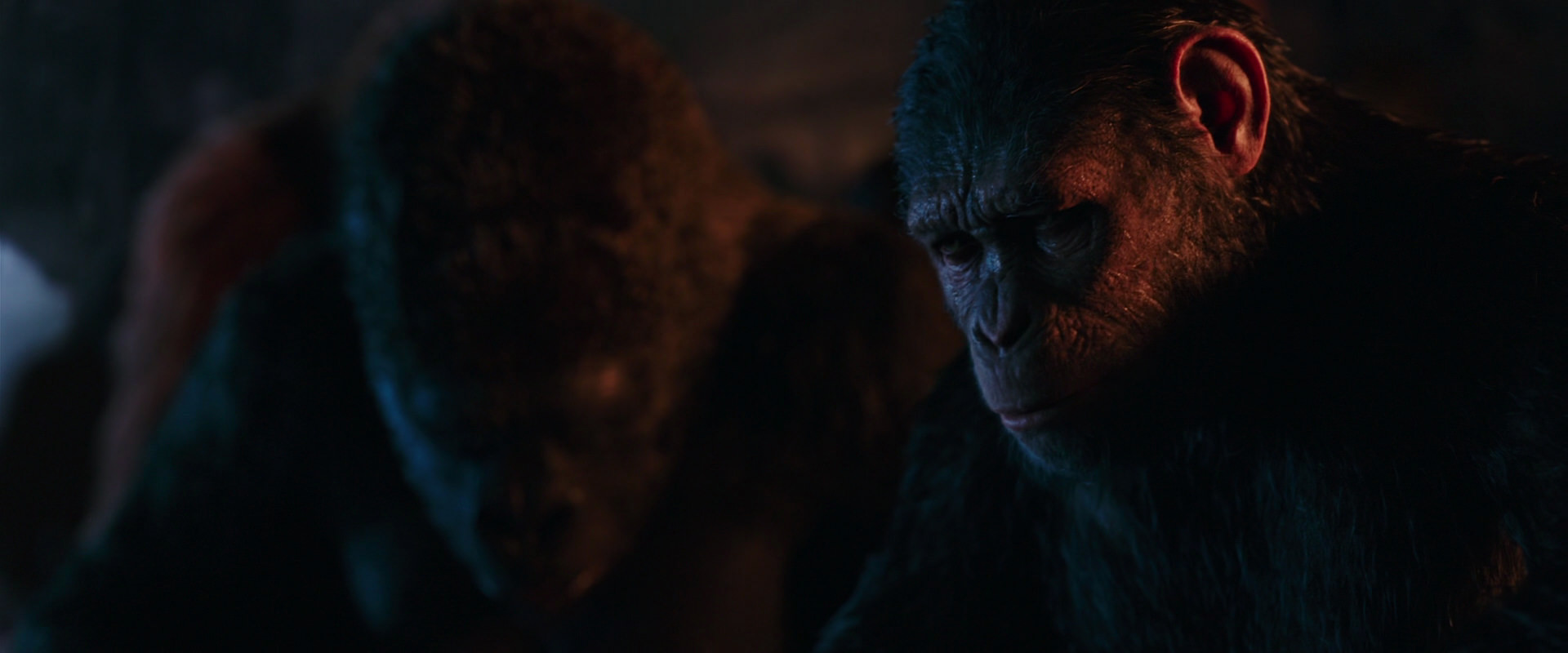 War for the Planet of the Apes (2017) HD screenshot 2657