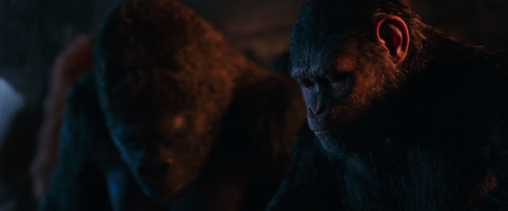 War for the Planet of the Apes (2017) screencap 2658