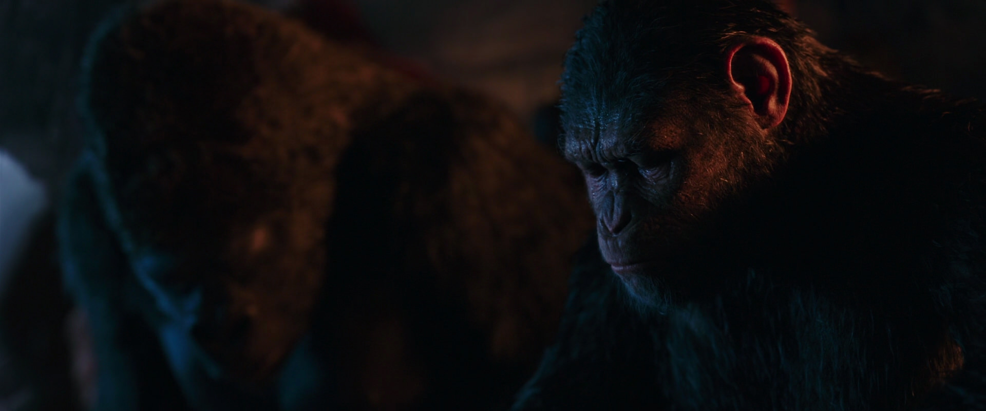 War for the Planet of the Apes (2017) movie still 2659