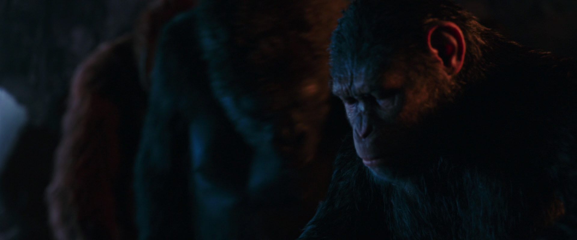 War for the Planet of the Apes (2017) HD screenshot 2660
