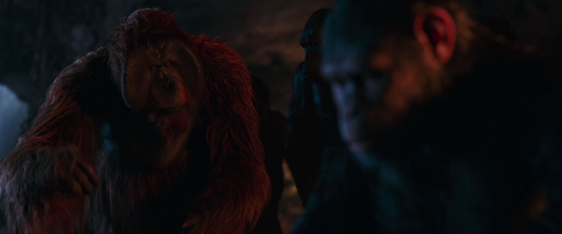 War for the Planet of the Apes (2017) movie still 2668