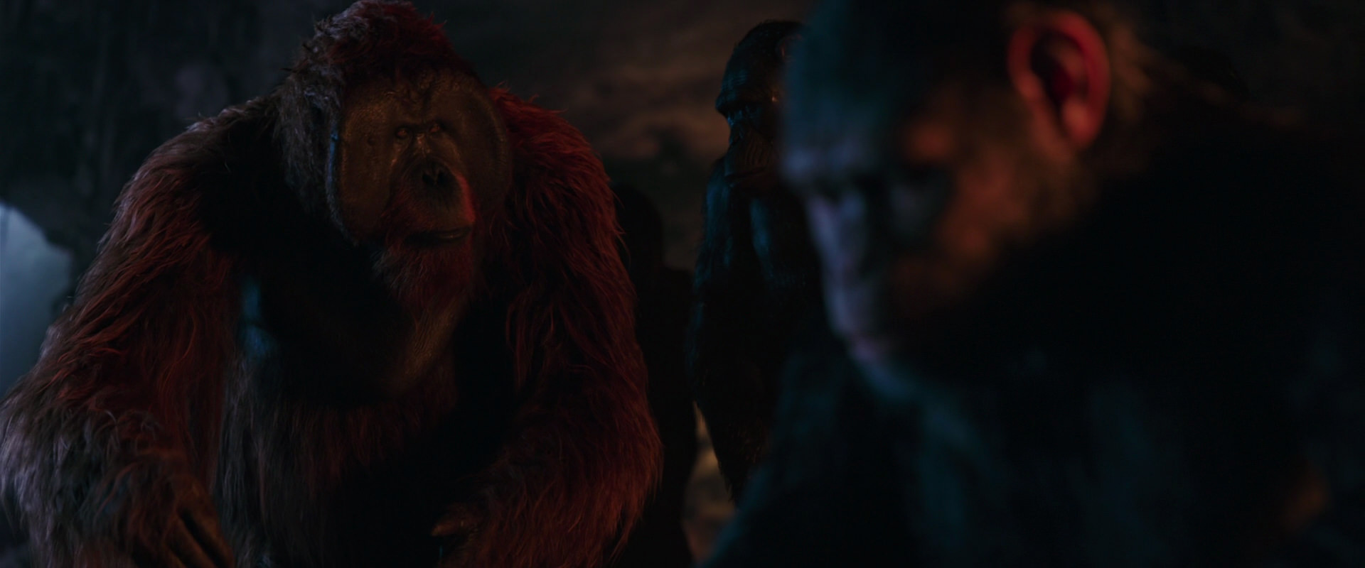 War for the Planet of the Apes (2017) HD screenshot 2669