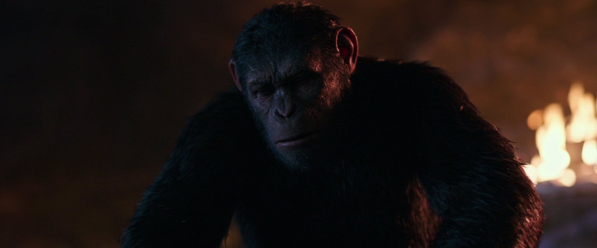 War for the Planet of the Apes (2017) movie still 2686