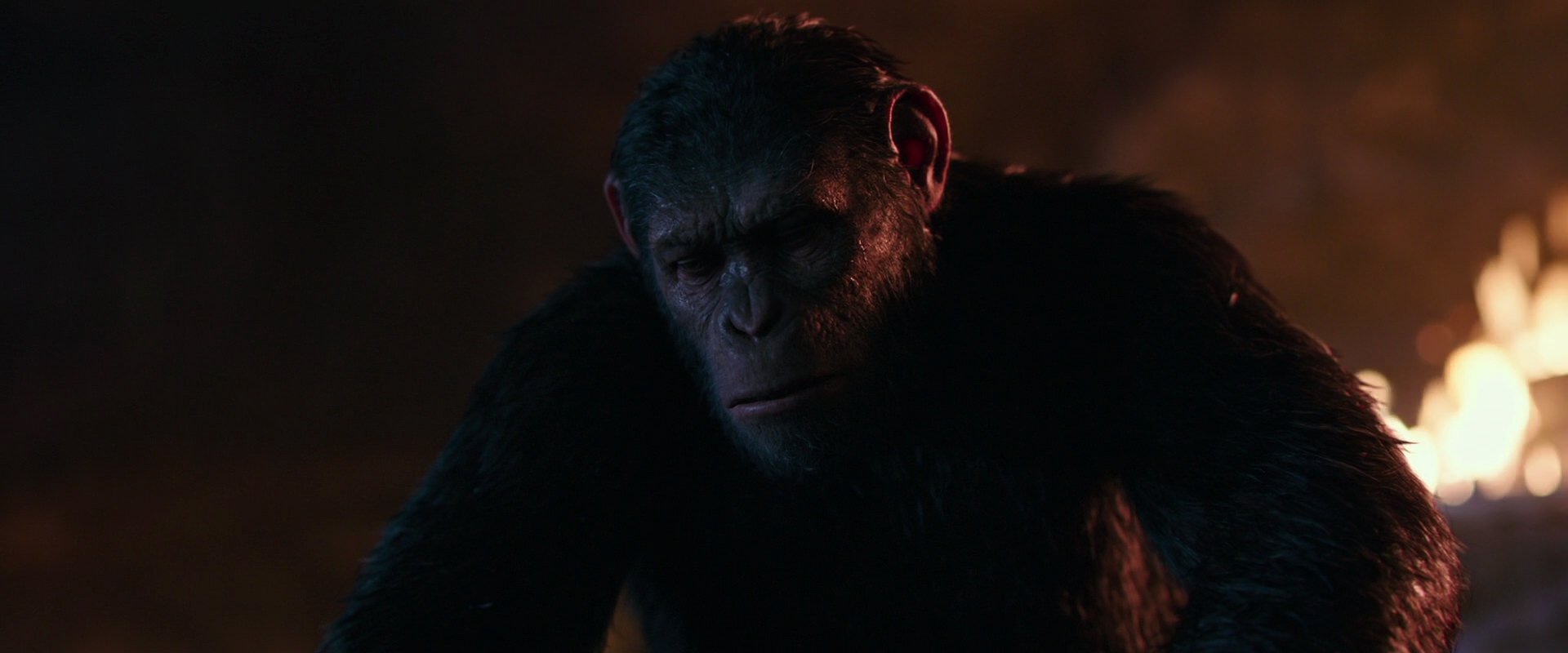 War for the Planet of the Apes (2017) movie still 2689