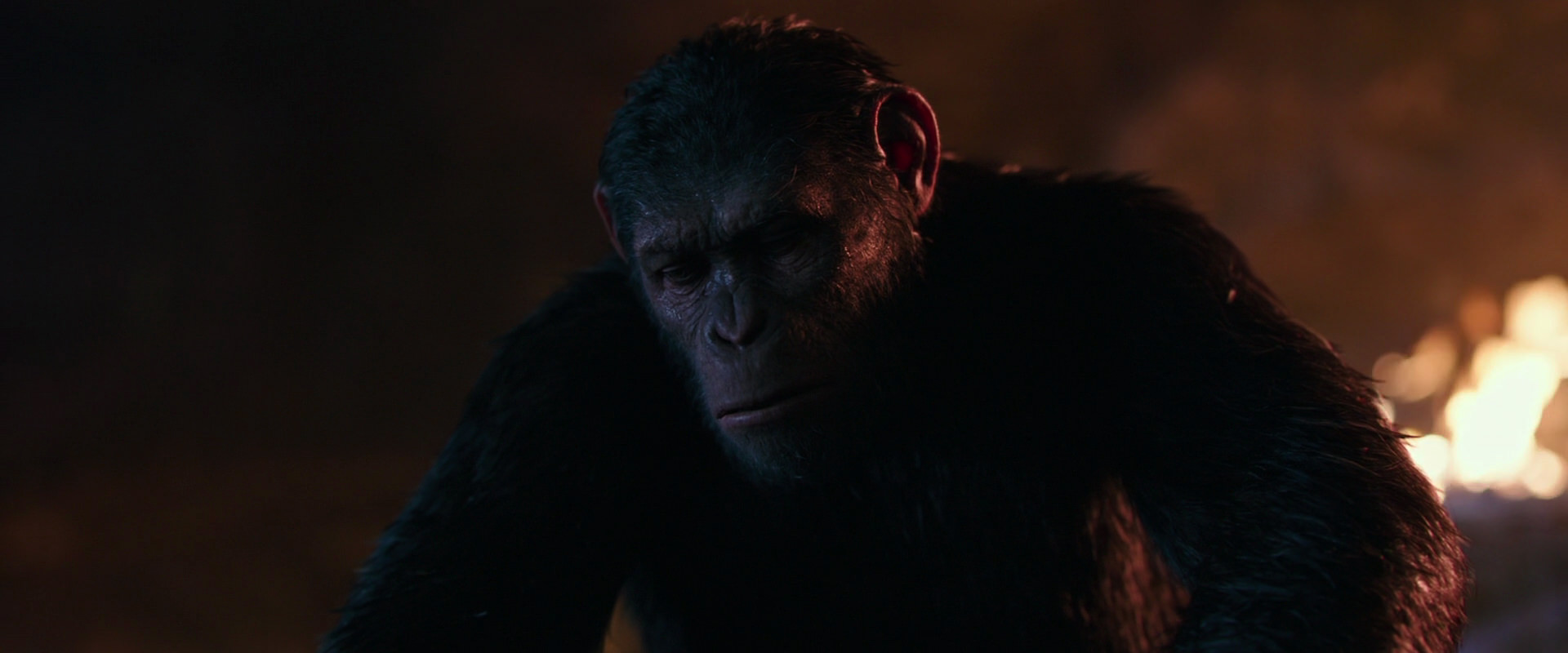 War for the Planet of the Apes (2017) HD screenshot 2690
